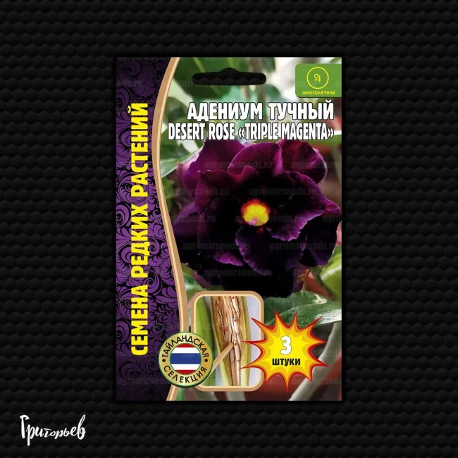 Северная Сторона Белый