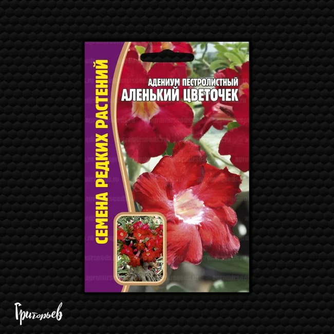 Чистый Кристалл White