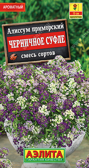 Черничное суфле смесь