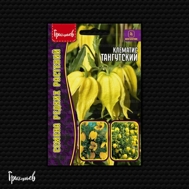 тангутский