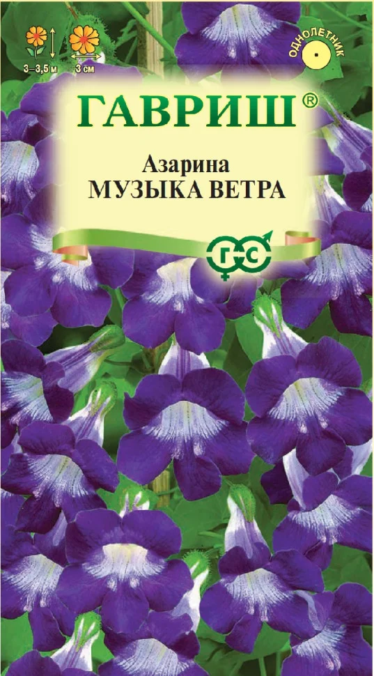Музыка ветра