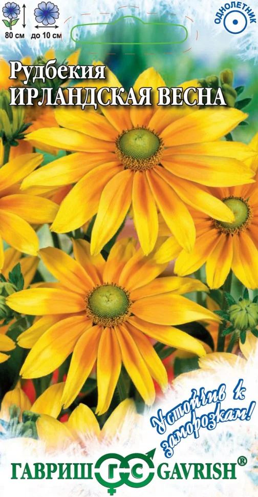 Ирландская весна