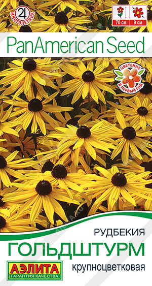 Гольдштурм