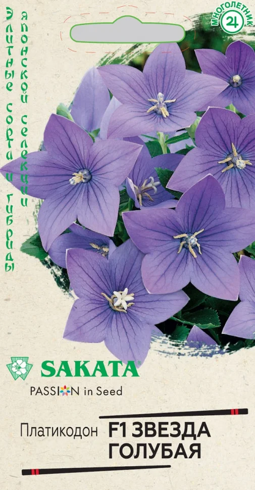 Звезда голубая