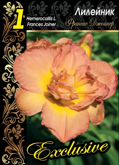 Франсис Джойнер