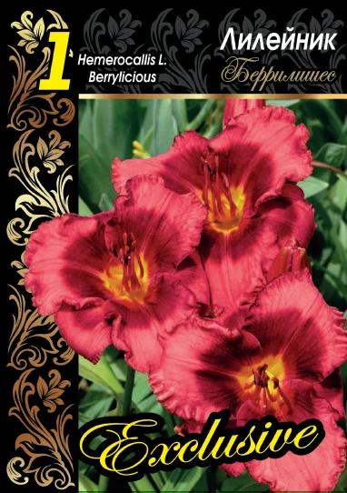 Беррилишес