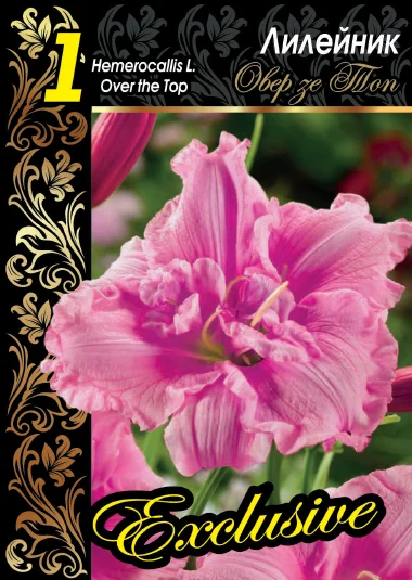 Овер Зе Топ