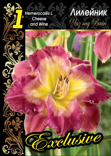 Чиз энд Вайн