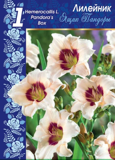 Ящик Пандоры