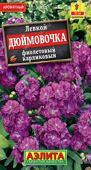 Дюймовочка фиолетовый