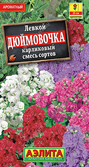 Дюймовочка