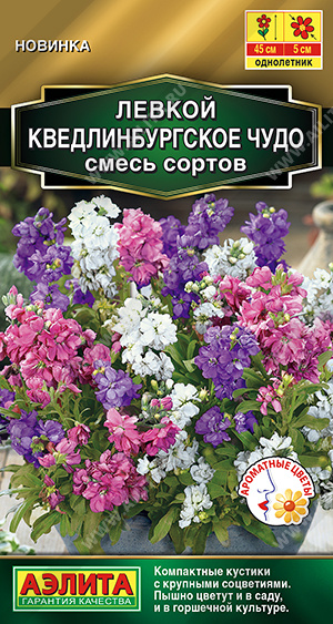 Кведлинбургское чудо