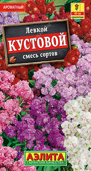 Кустовой