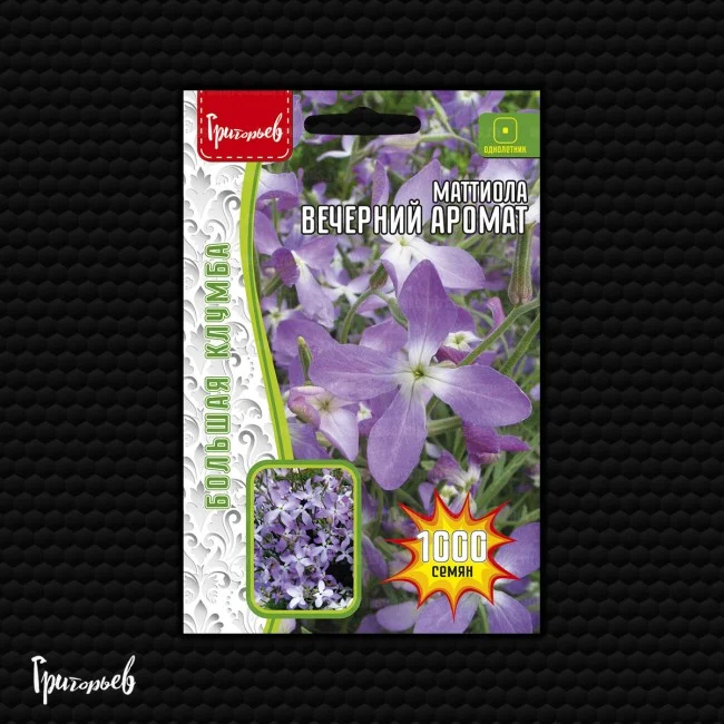 Миниатюра изображения сорта Вечерний аромат