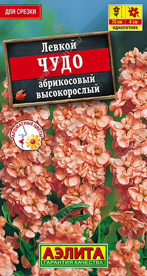 Чудо абрикосовый