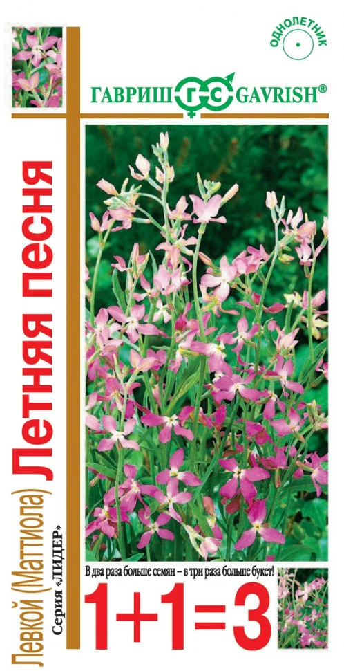 Летняя песня