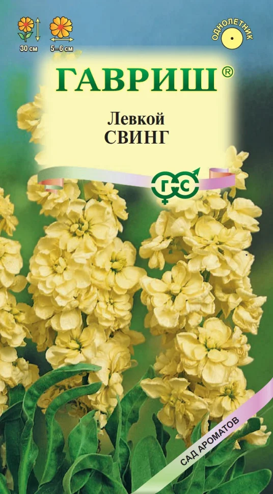 Свинг
