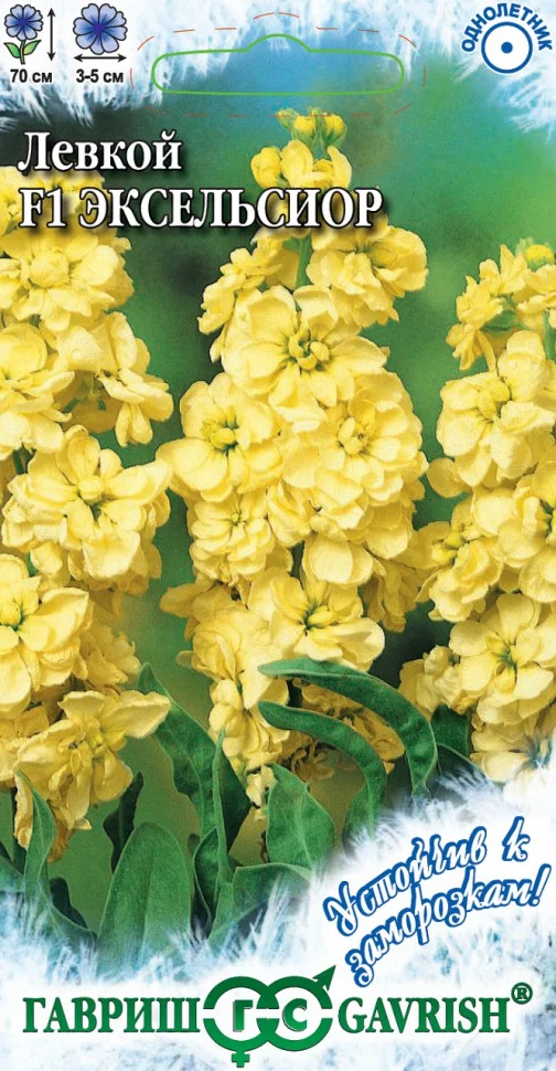 Эксельсиор