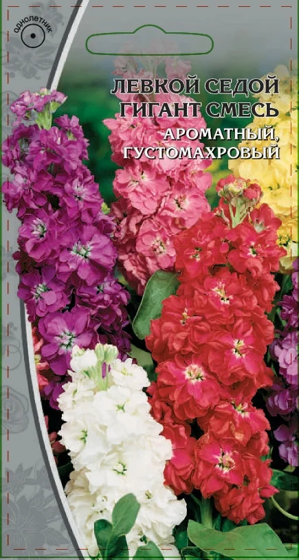 Седой гигиант