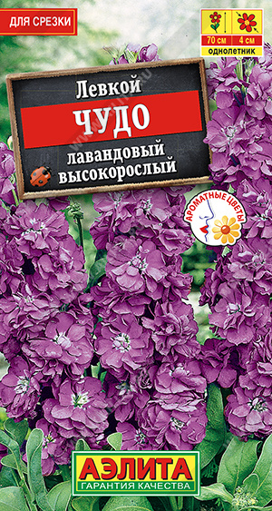 Чудо лавандовый