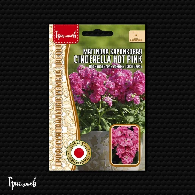 Cinderella Hot Pinк