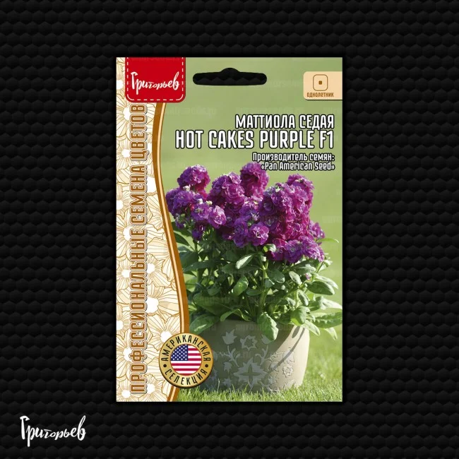 Хот Кейкс Пурпурная