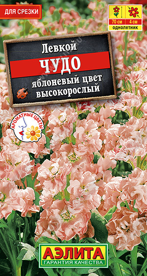 Чудо яблоневый цвет