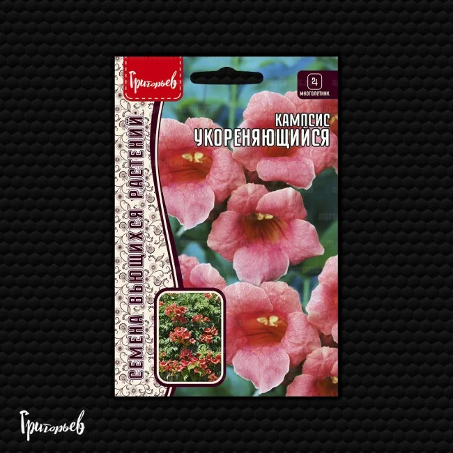 Укореняющийся