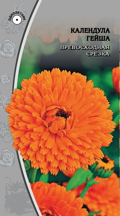 Миниатюра изображения сорта Гейша