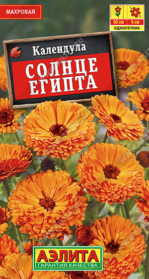 Солнце Египта