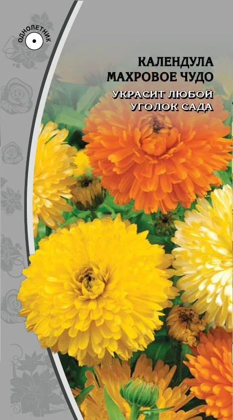 Миниатюра изображения сорта Махровое чудо