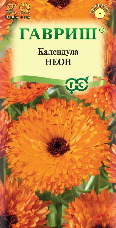 Миниатюра изображения сорта Неон