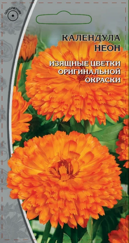 Миниатюра изображения сорта Неон