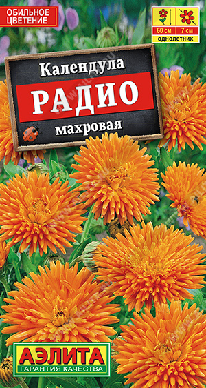 Радио махровая