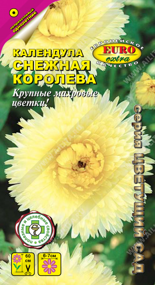 Снежная королева