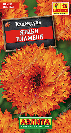 Языки пламени