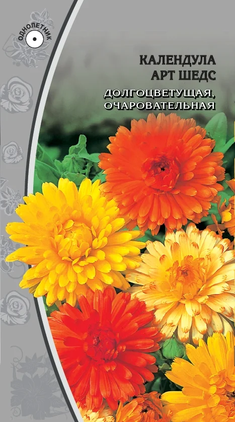 Миниатюра изображения сорта Арт Шедс