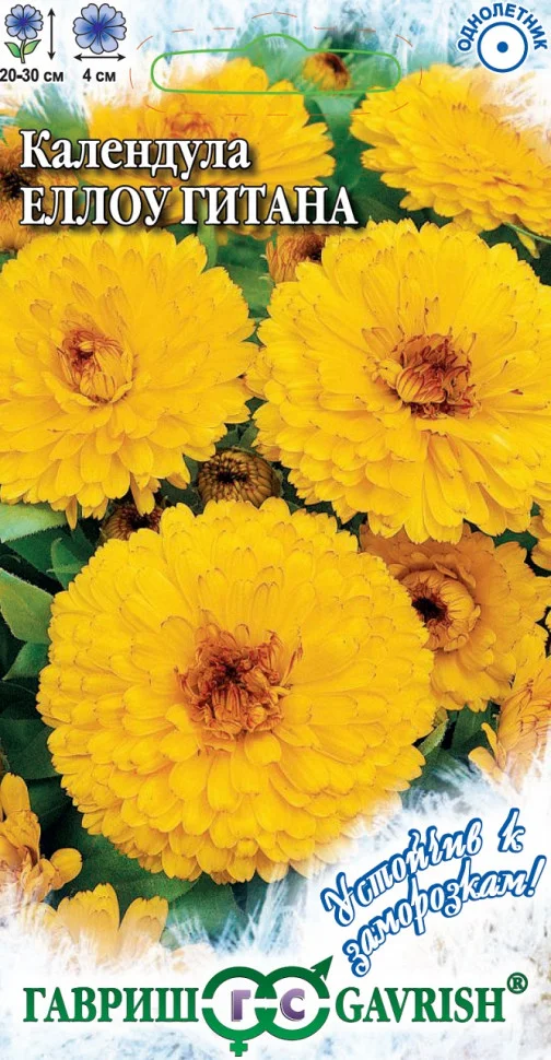 Еллоу Гитана