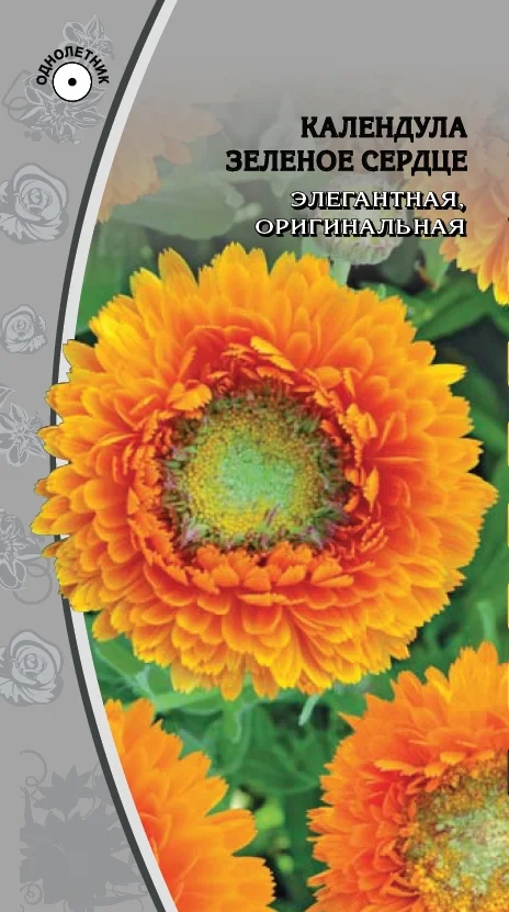 Миниатюра изображения сорта Зелёное сердце 