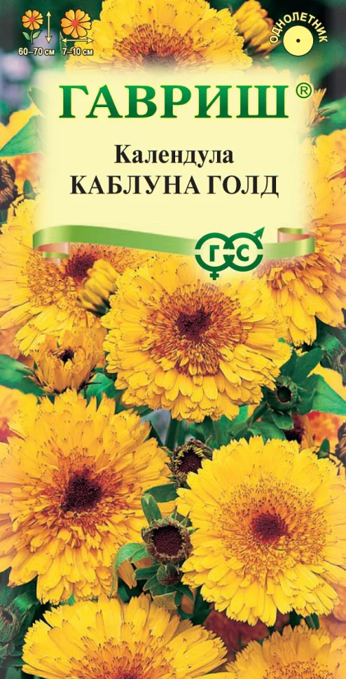 Каблуна Голд 