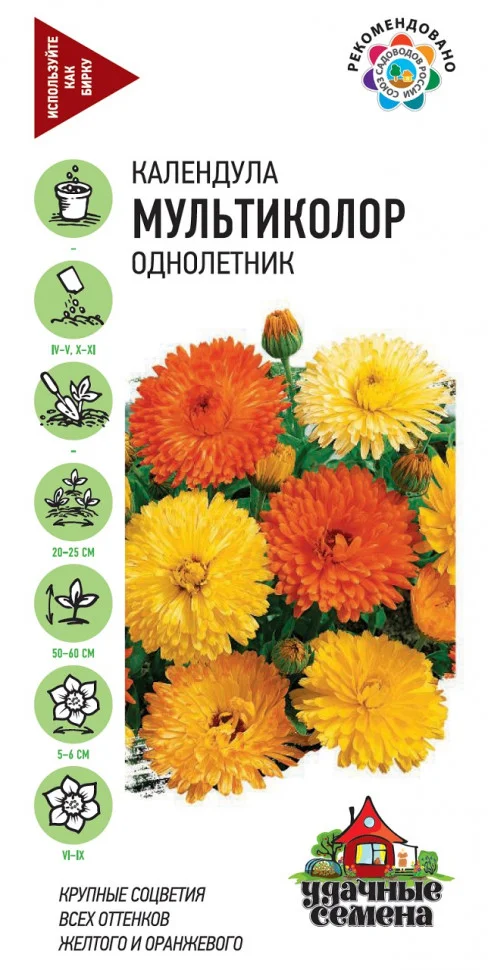 Мультиколор