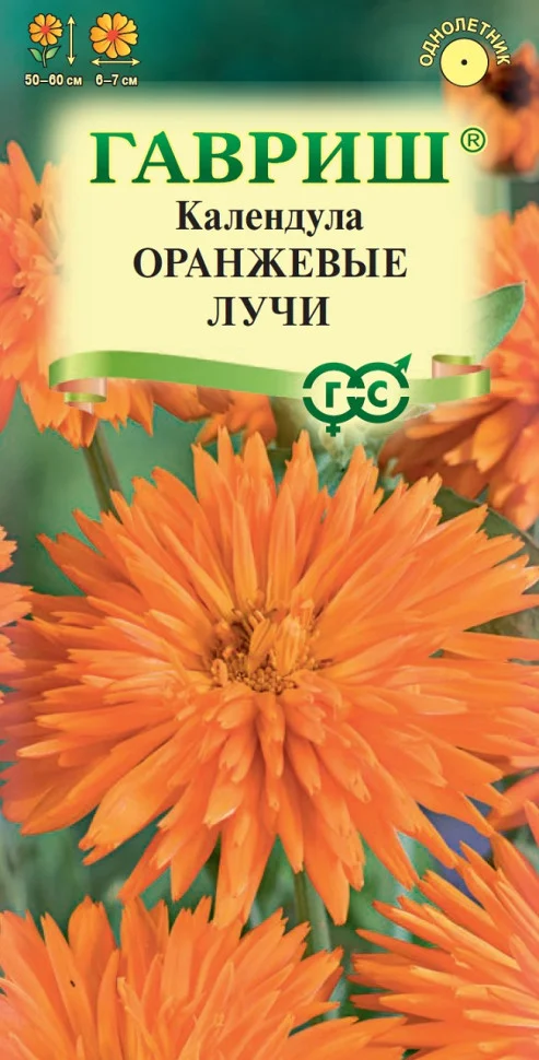 Оранжевые лучи 