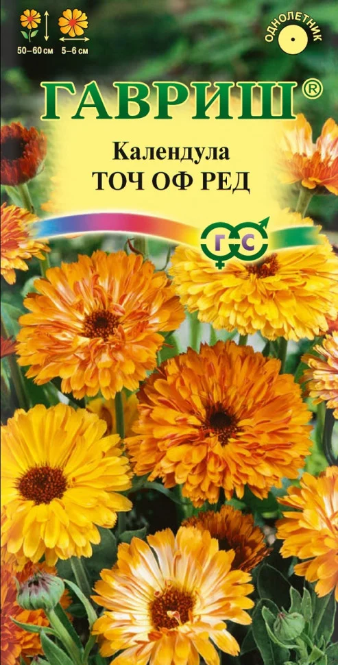 Точ оф Ред