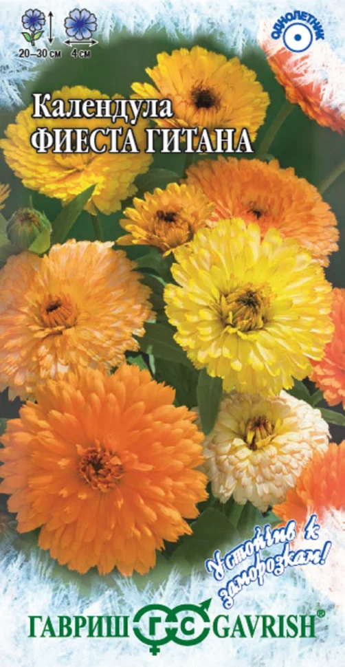 Фиеста Гитана