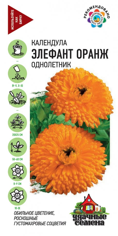 Элефант Оранж