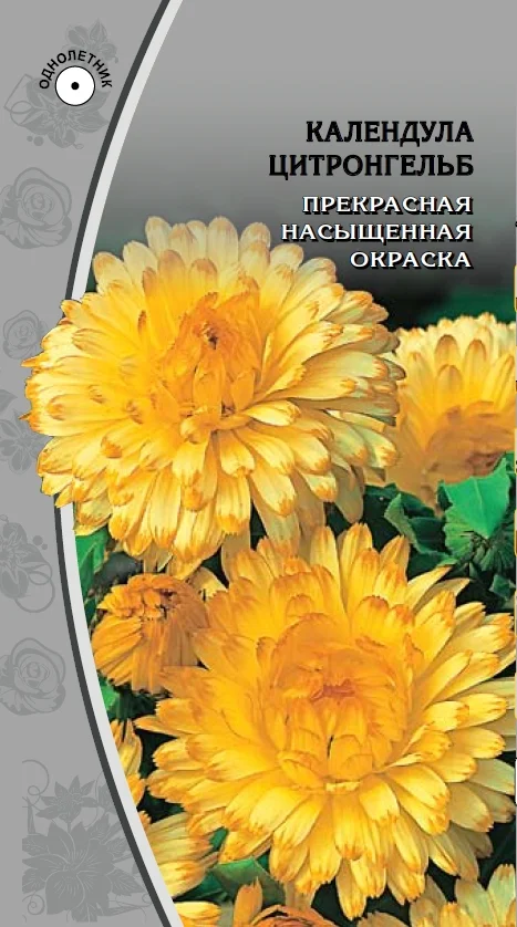 Миниатюра изображения сорта Цитронгельб