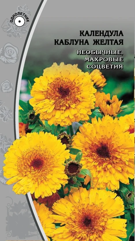 Каблуна желтая