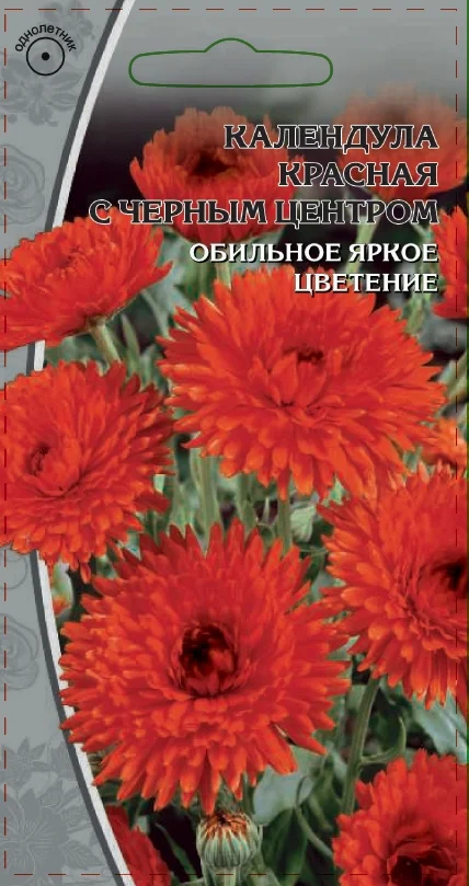 Красная с черным центром