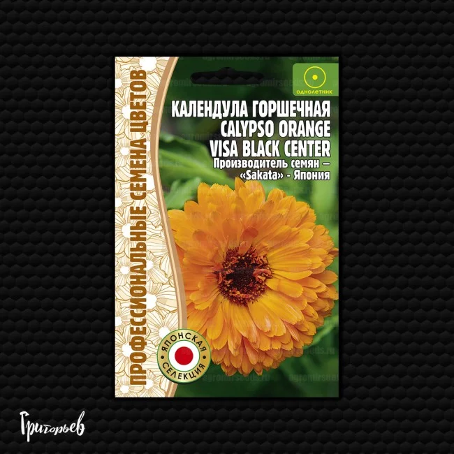 Calypso Orange With Black Center