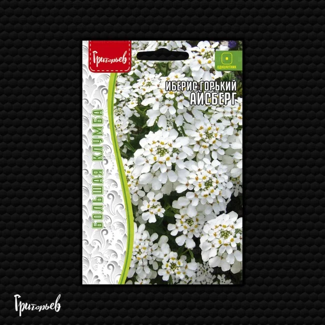 Миниатюра изображения сорта Айсберг